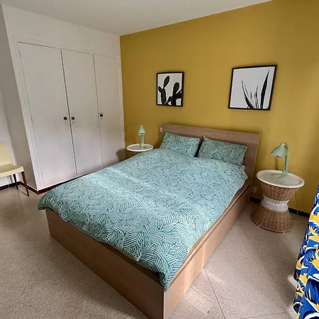 T2 Climatise Avec Balcon, Wifi Et Parking Pres Du Centre De - Fr-1-100-180 Appartement